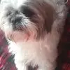 Kay Webb - @kay.webb73 - TikTok