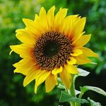 kaywebber - @kay.webber1944 - Instagram