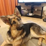 Kay Weeks - Facebook