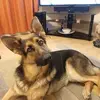 Kay Weeks - @kay.weeks - TikTok