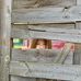 Kay Wehner - Facebook