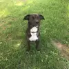 Kaitlynn Weimer - @kaykayweimer22 - TikTok