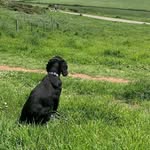 Kay Welch - @kaywelch41 - Instagram