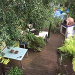 Kay Welch - @plantaddict_uk - Instagram