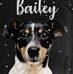 Kay Weldon - Facebook