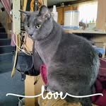 Kay Weldon - @weldonkay - Instagram