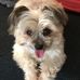Kay Wells - Facebook