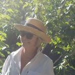 Kay Wendt - @kay.wendt.5 - Instagram