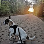 Kay Wendt - @kay.wendt.1 - Instagram