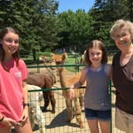 Mary Kay Wessel - @mkwessel214 - Instagram