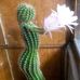 Kay Weston - Facebook