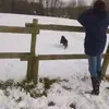Kay Whatley-Gibbs - @kay.whatleygibbs - TikTok