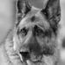 Kay Wheatley - Facebook