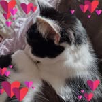 Kay Wheatley - @wheatley_kay - Instagram