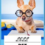 Kay whitaker - @nationaldog_society - Instagram