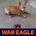 Kay Whitehead - Facebook