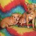 Kay Whitehead - Facebook