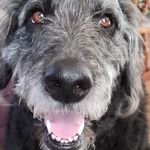 Kay Whitehead - @kay.whitehead.564 - Instagram