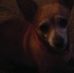 Kay Whitehead - Facebook