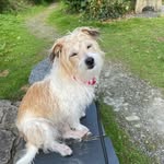 Kay whiteman - @whiteman3899 - Instagram