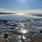 Kay Whiting - @pickledumpling59 - Instagram