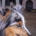 Kay Whiting - Facebook