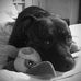 Kay Whitmore - Facebook