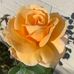 Kay Whittaker - Facebook