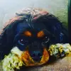 Kai Whitten - @kaiwhitten - TikTok
