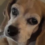 kay whitten - @marykayramsey73 - Instagram