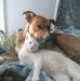 Kay Whittenberger - Facebook
