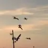 kayle_whitten - @kayle_whitten - TikTok