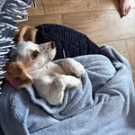 Funny pictures and videos - @kay_whittington1957 - Instagram