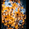 kaya.whittington - @kaya.whittington - TikTok