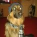 Kay Wilcox - Facebook