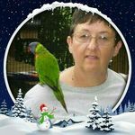 Kay Wilcox - @kay.wilcox.60 - Instagram