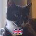 Kay Wilder - Facebook