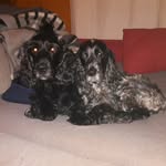 Kay-Wilhelm Hess - @kaywilhelmhess - Instagram
