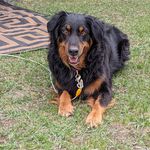 Kay Wilhite Herman - @wilhiteherman - Instagram