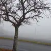 Kay Wilkins - @kay.wilkins2 - TikTok