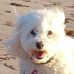 Kay Wilkinson - Facebook