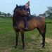 Kay Wilkinson - Facebook
