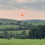 Kay Wilkinson - @cardsmillfarmholidays - Instagram