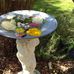Kay Williamson - Facebook