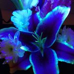 kay.williamson - @kay.williamson50 - Instagram