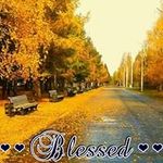 Kay Wills - @kay.wills.9699 - Instagram