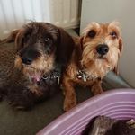 Kay Wills - @kay10wills - Instagram