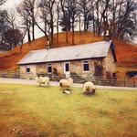 kay wilson - @shemoreonlochlomond - Instagram