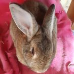 Kay Winter - @odhran2525 - Instagram