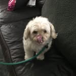 Kay Winters - @kayjwinters - Instagram